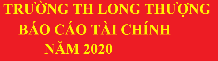 BÁO CÁO TÀI CHÍNH NĂM 2020